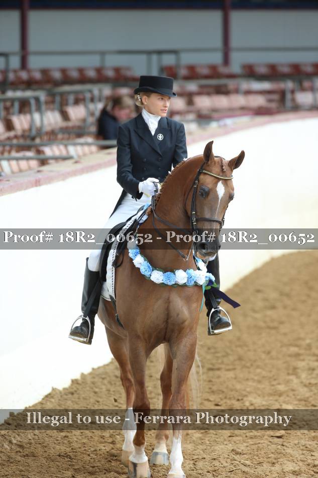 Proof 18R2_00652