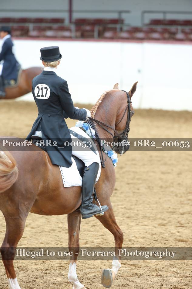 Proof 18R2_00653