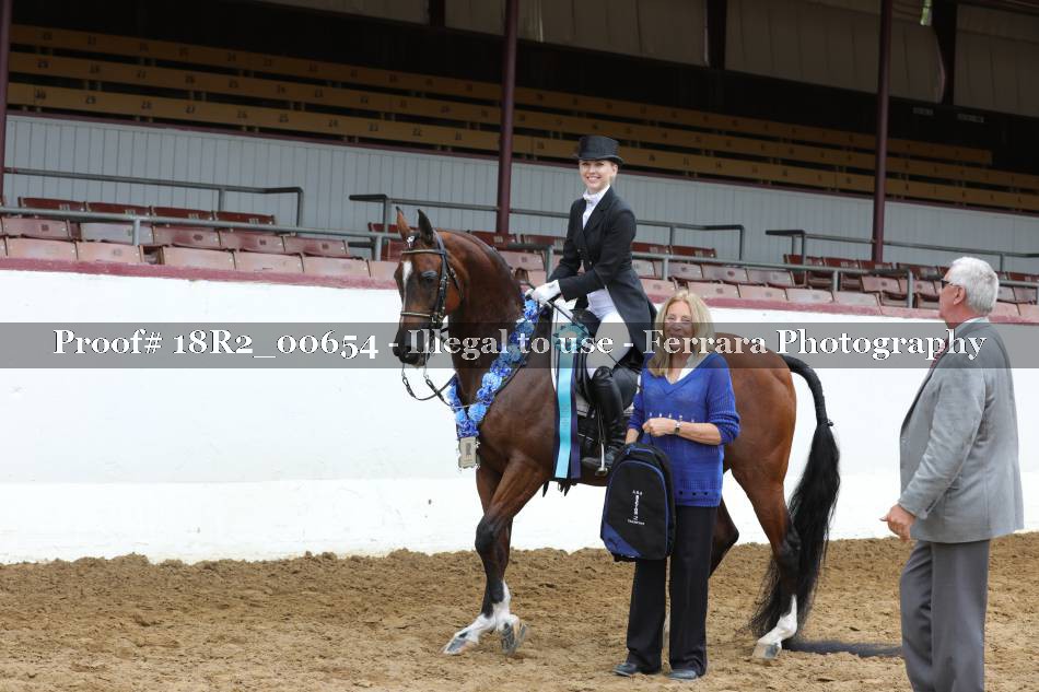Proof 18R2_00654