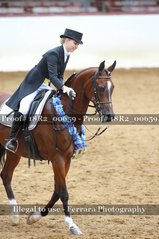 Proof 18R2_00659