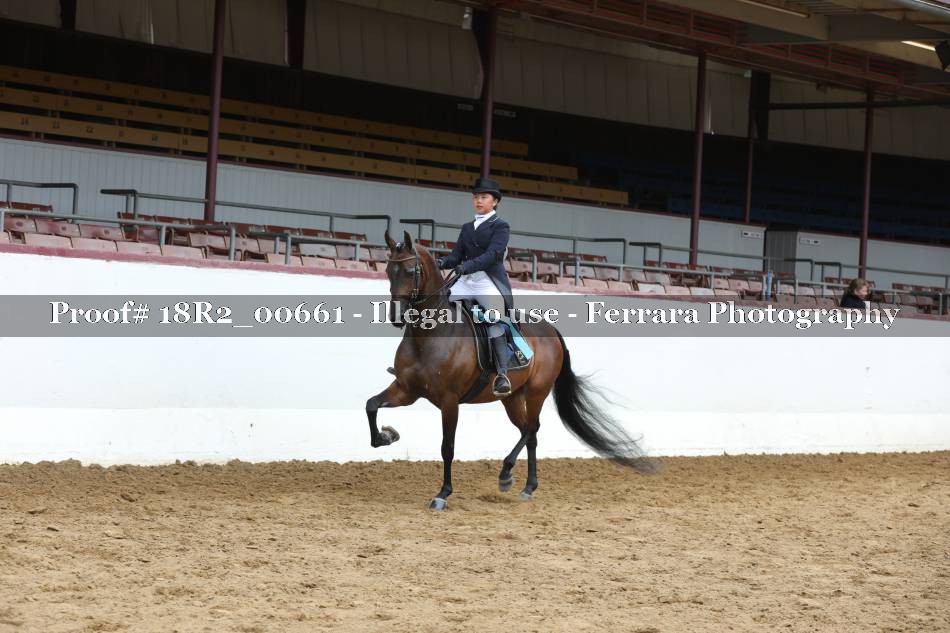 Proof 18R2_00661