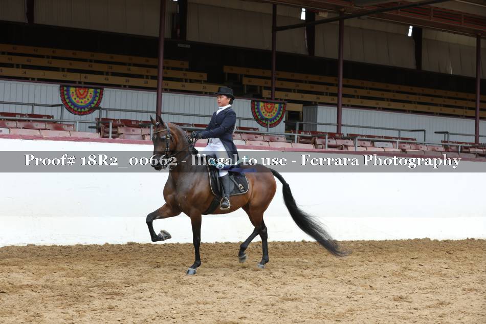 Proof 18R2_00662