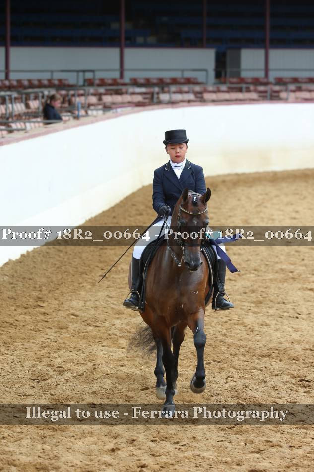 Proof 18R2_00664