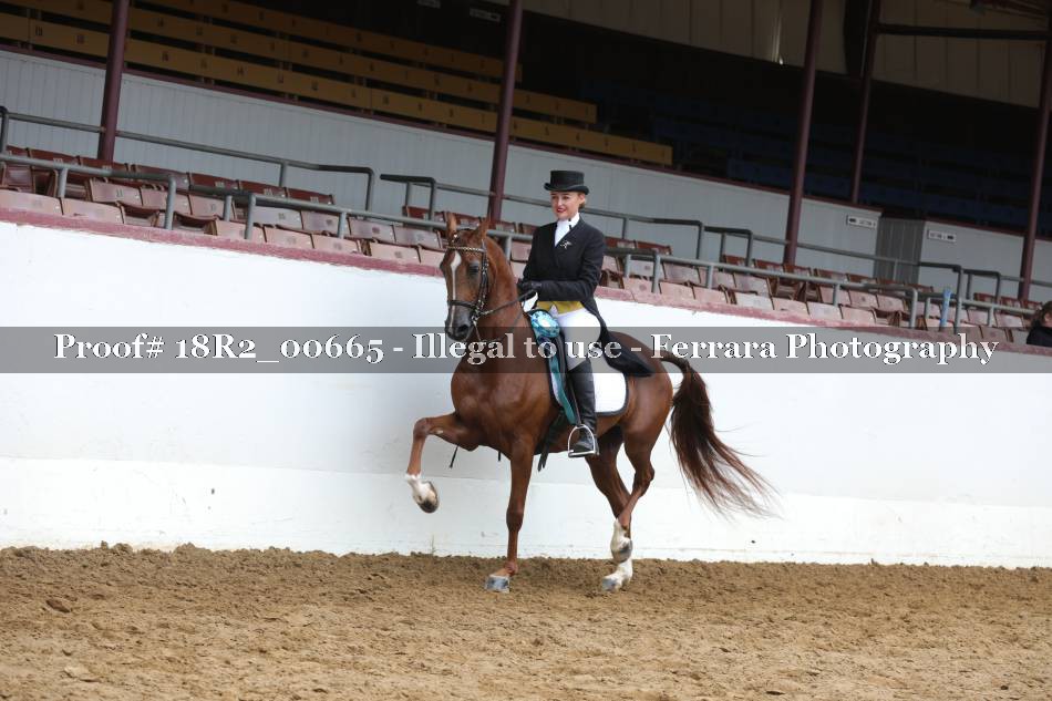 Proof 18R2_00665