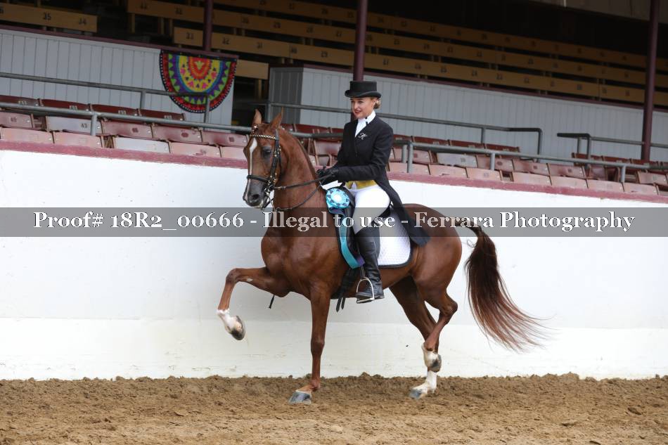 Proof 18R2_00666