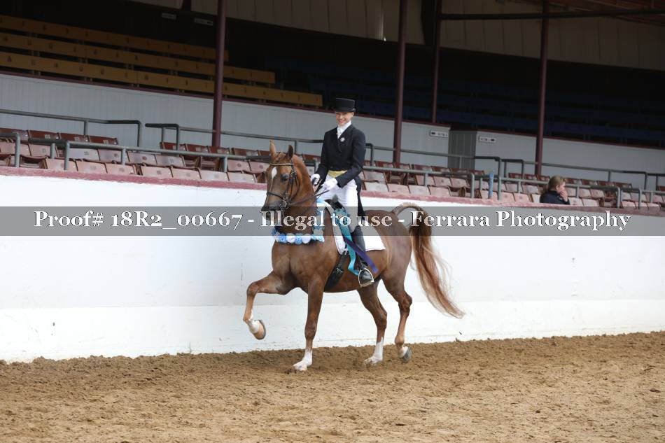 Proof 18R2_00667
