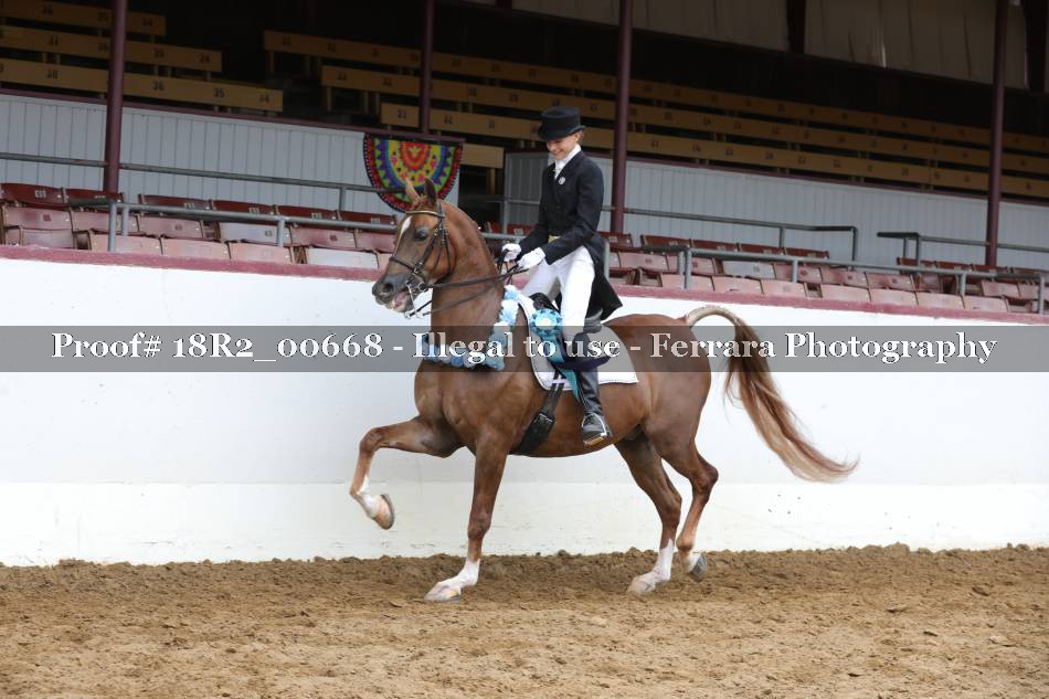 Proof 18R2_00668