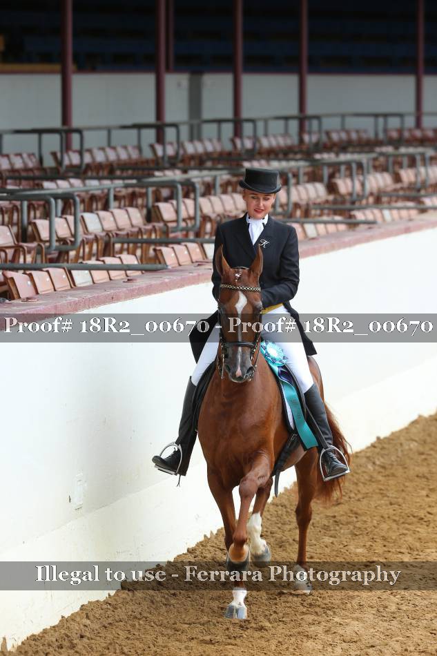 Proof 18R2_00670