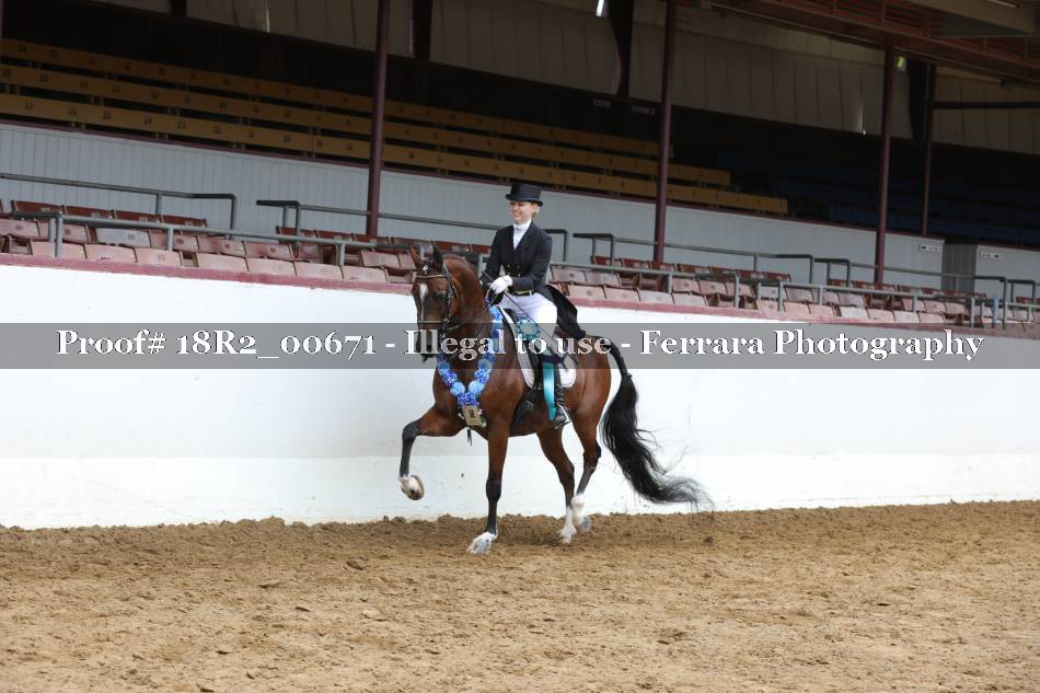 Proof 18R2_00671