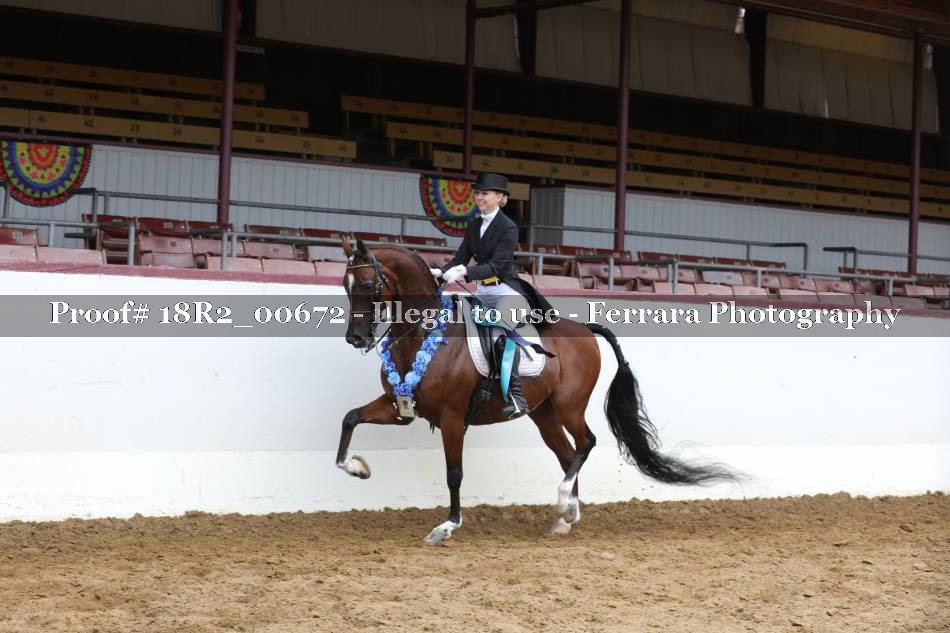 Proof 18R2_00672