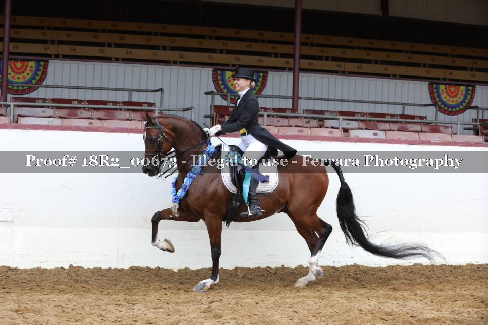 Proof 18R2_00673