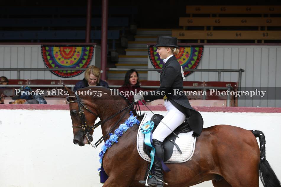 Proof 18R2_00675