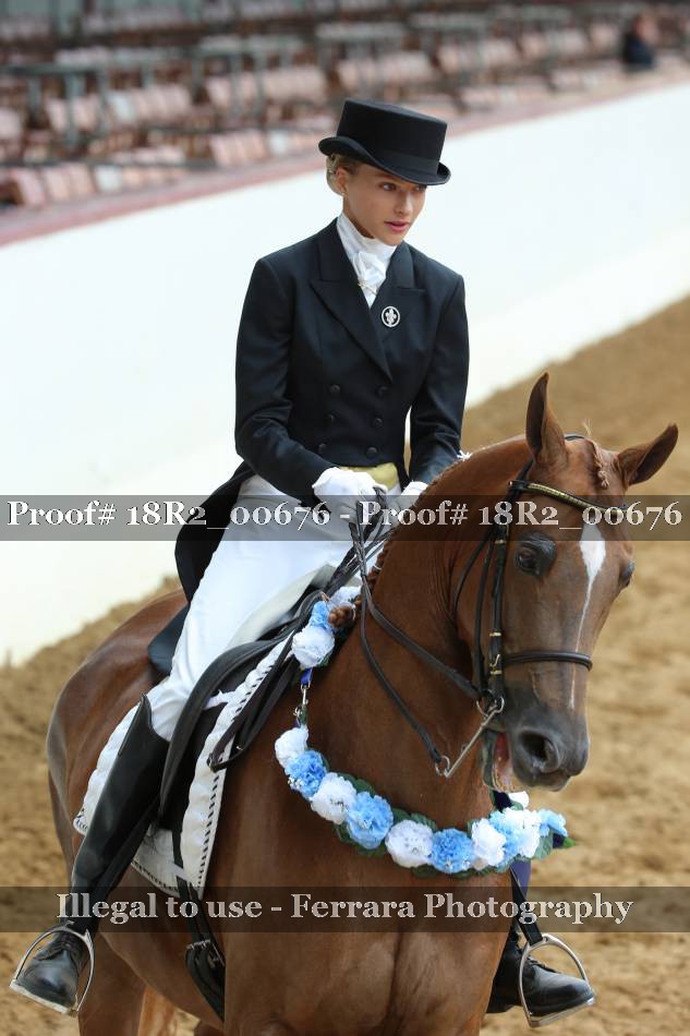 Proof 18R2_00676
