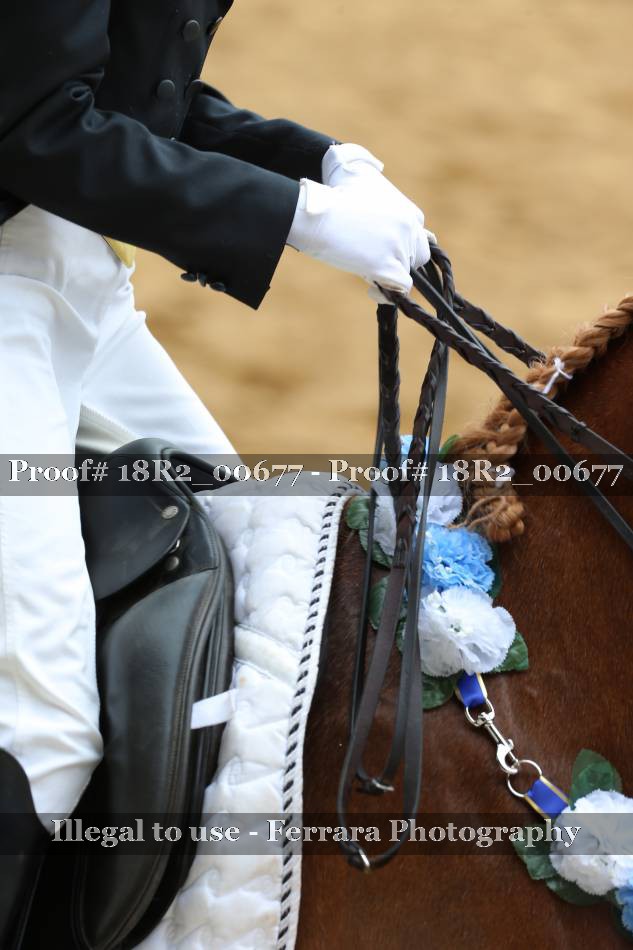 Proof 18R2_00677