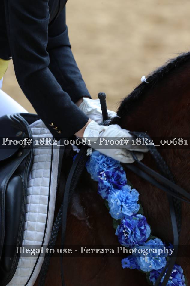 Proof 18R2_00681