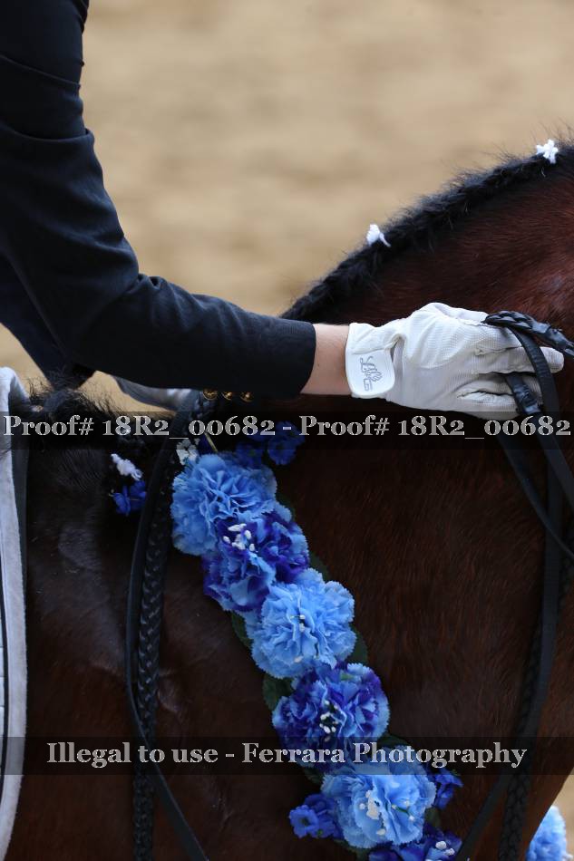 Proof 18R2_00682