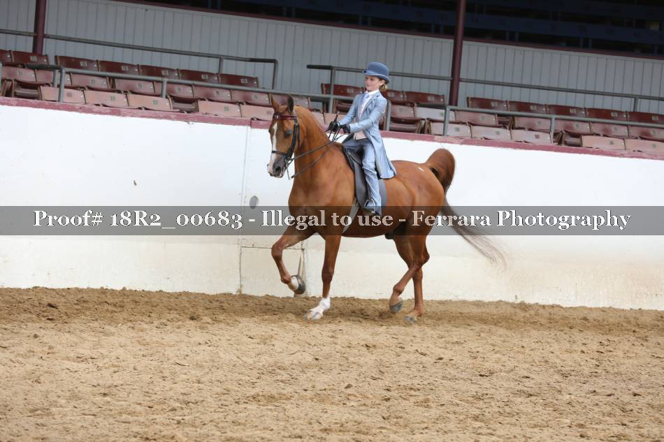 Proof 18R2_00683