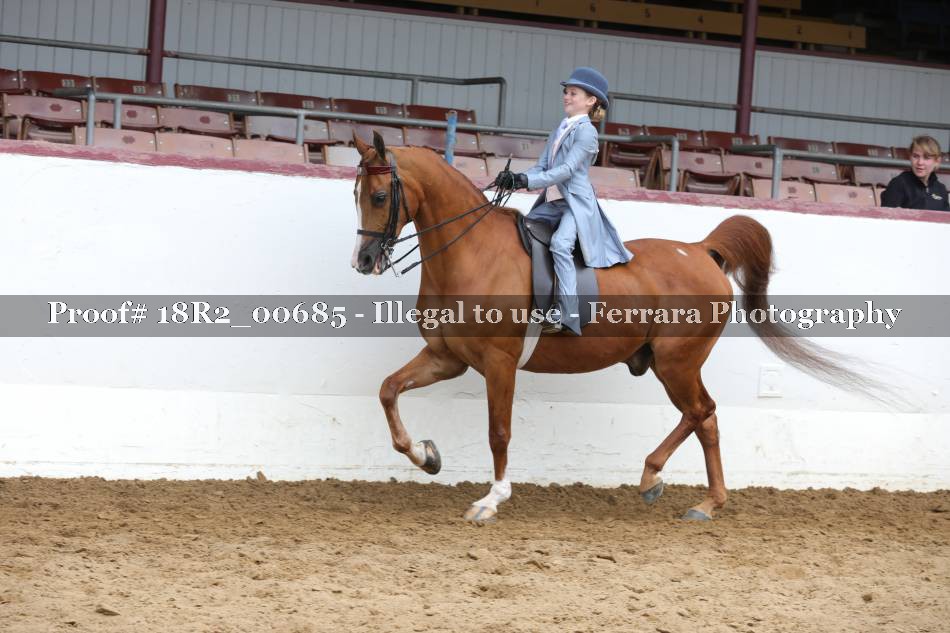 Proof 18R2_00685