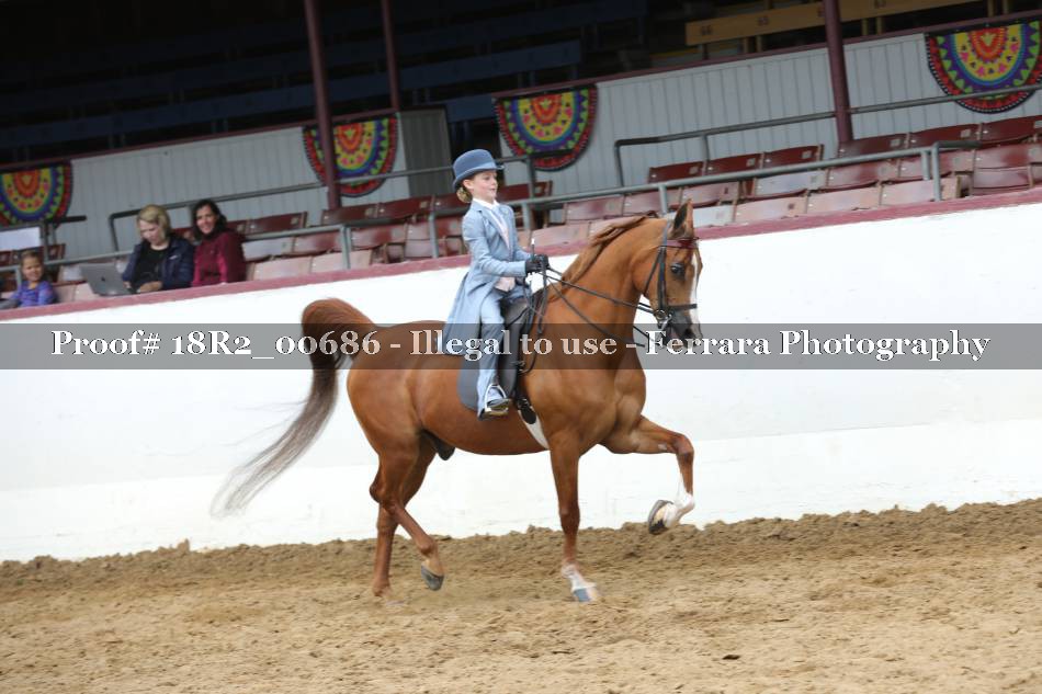 Proof 18R2_00686
