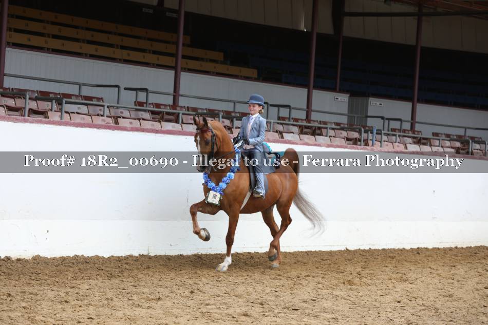 Proof 18R2_00690
