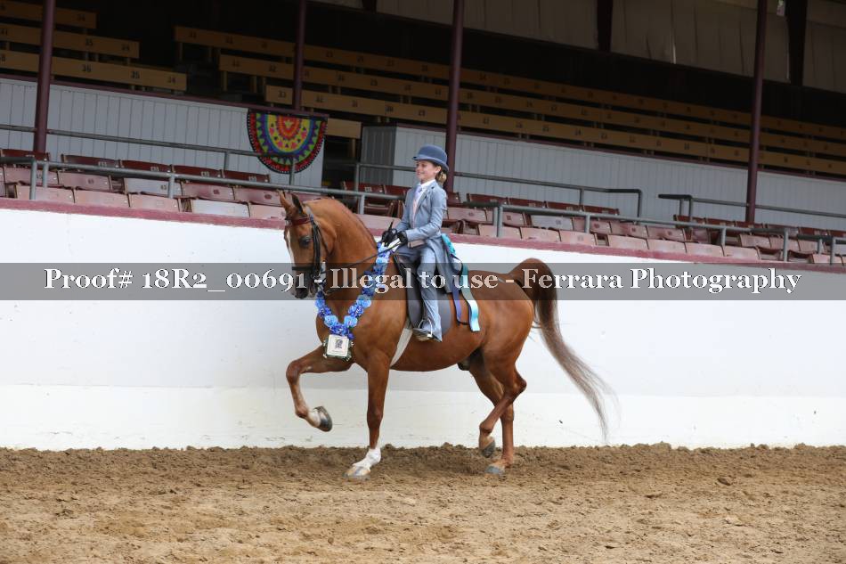 Proof 18R2_00691