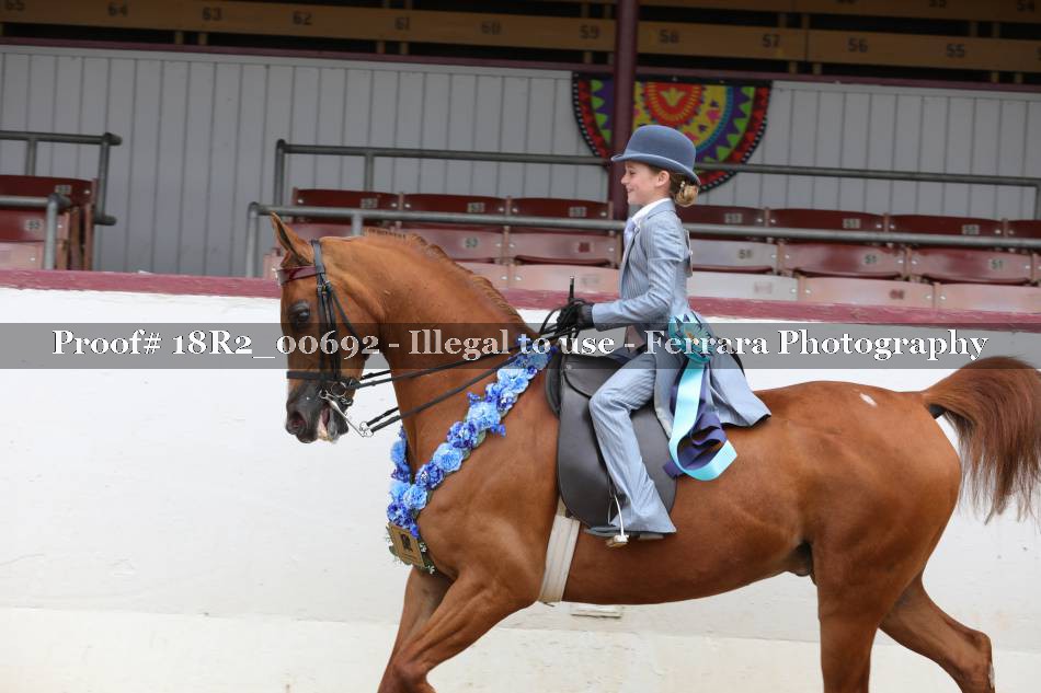 Proof 18R2_00692