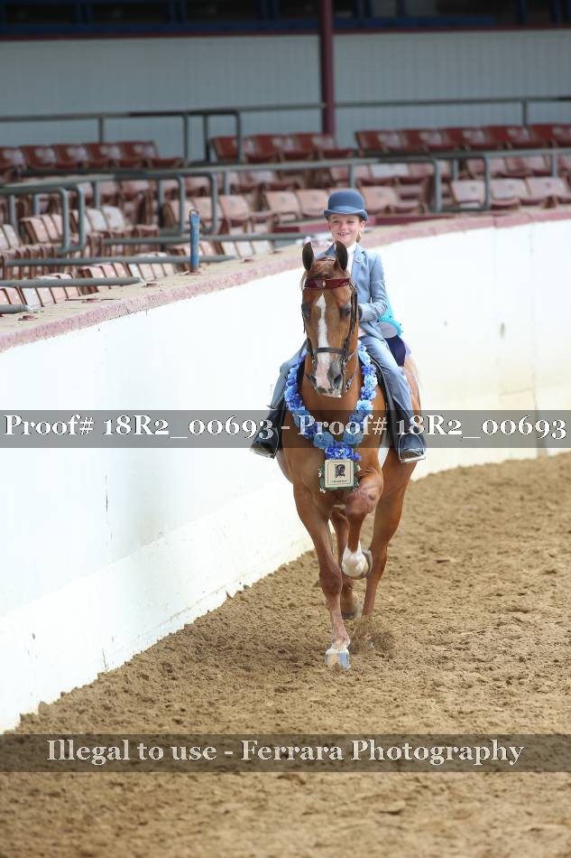 Proof 18R2_00693