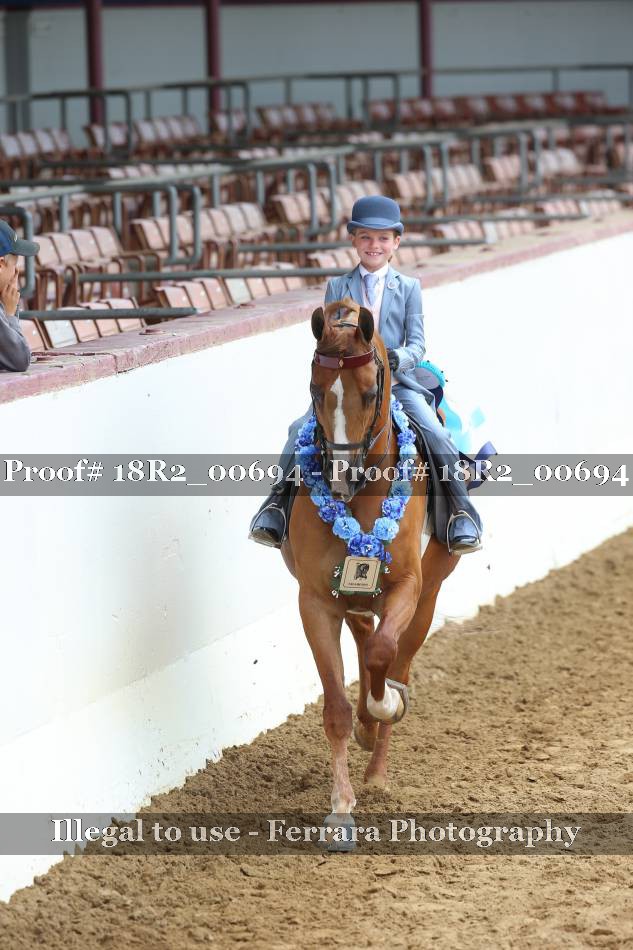 Proof 18R2_00694