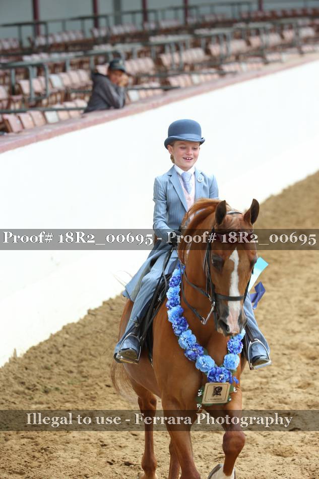 Proof 18R2_00695