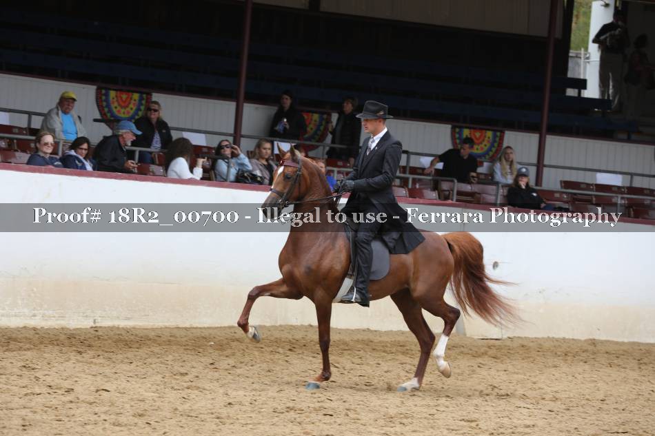 Proof 18R2_00700