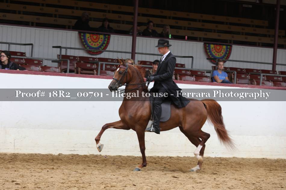 Proof 18R2_00701