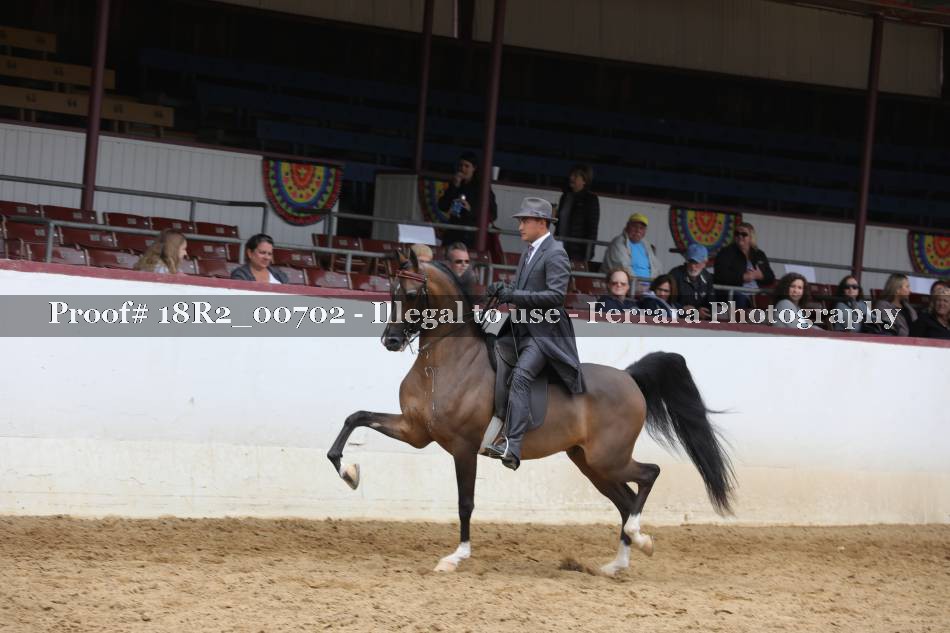 Proof 18R2_00702