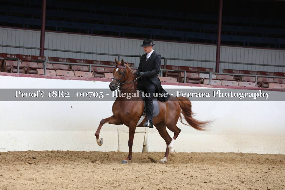 Proof 18R2_00705