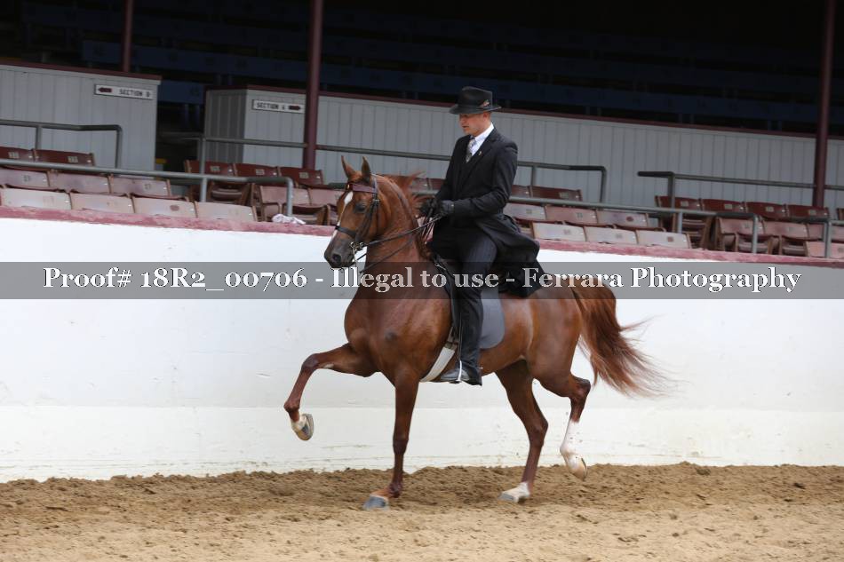 Proof 18R2_00706
