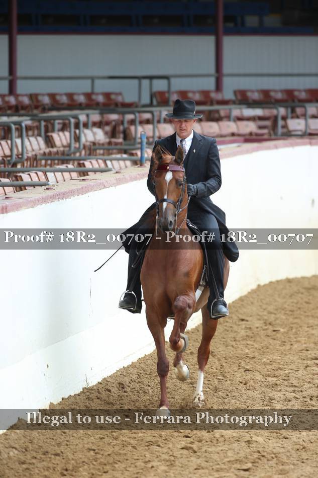 Proof 18R2_00707