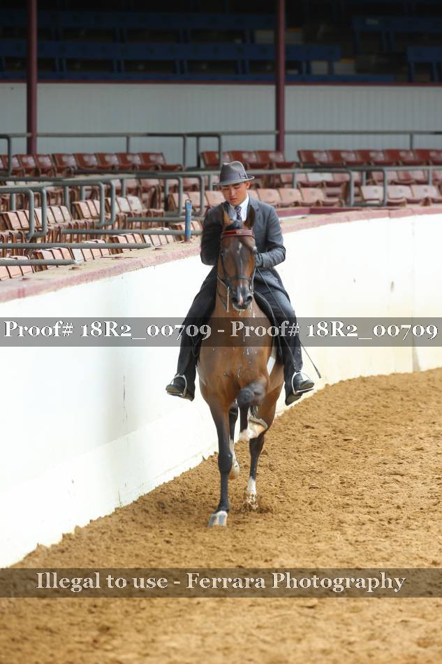 Proof 18R2_00709