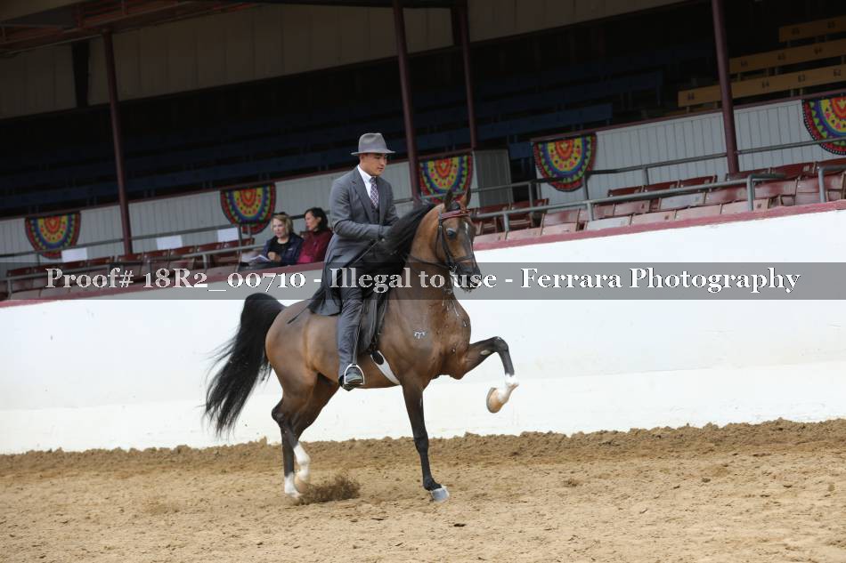 Proof 18R2_00710