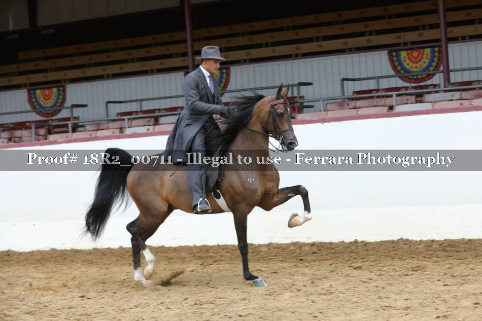 Proof 18R2_00711