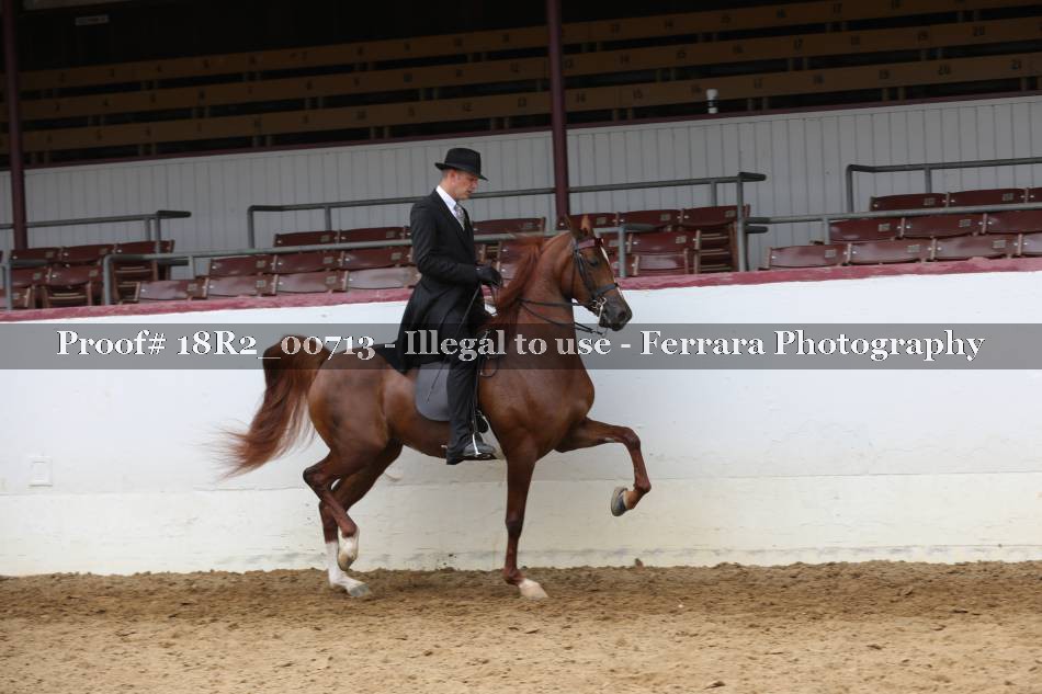 Proof 18R2_00713