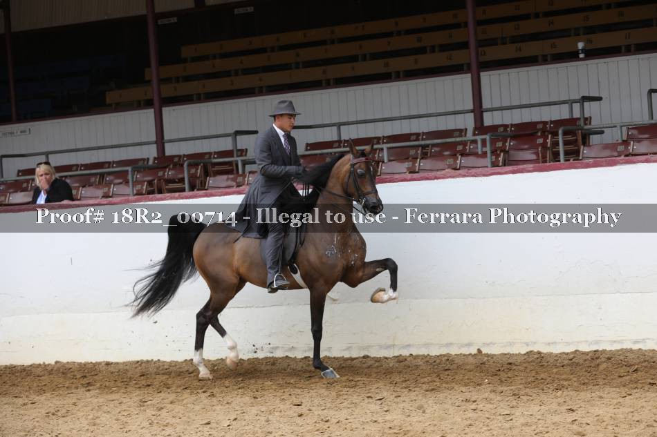 Proof 18R2_00714