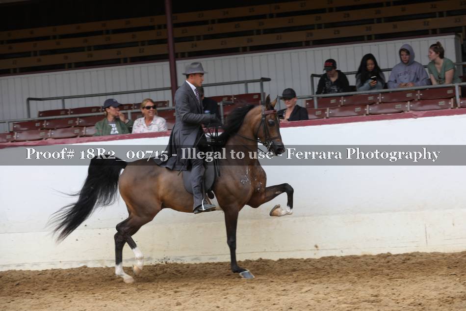 Proof 18R2_00715