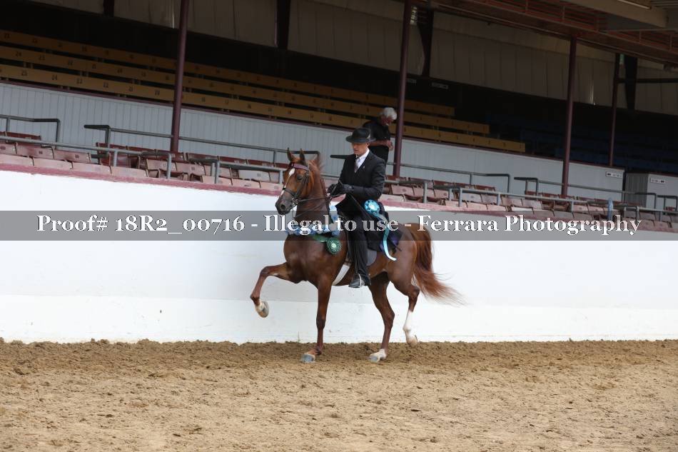 Proof 18R2_00716