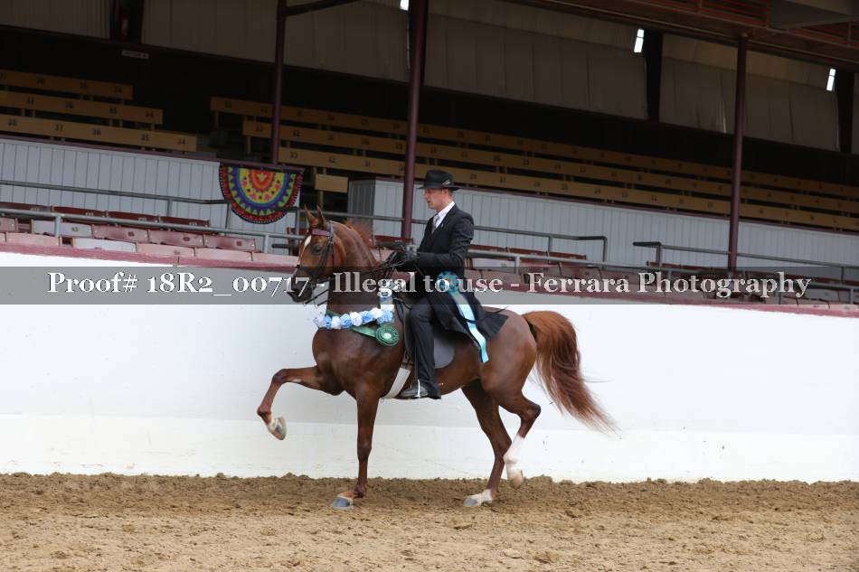 Proof 18R2_00717