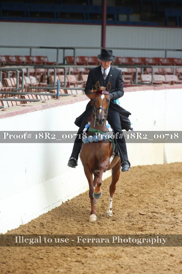 Proof 18R2_00718