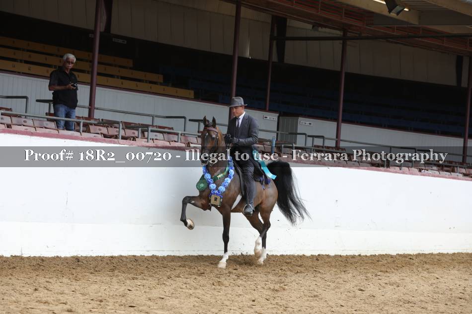 Proof 18R2_00720