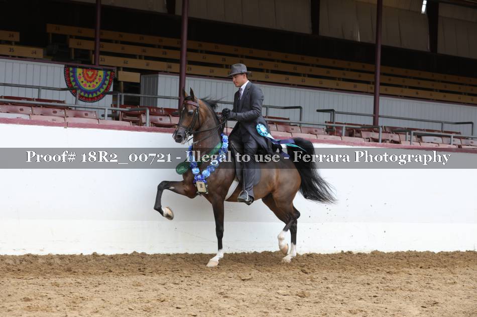 Proof 18R2_00721