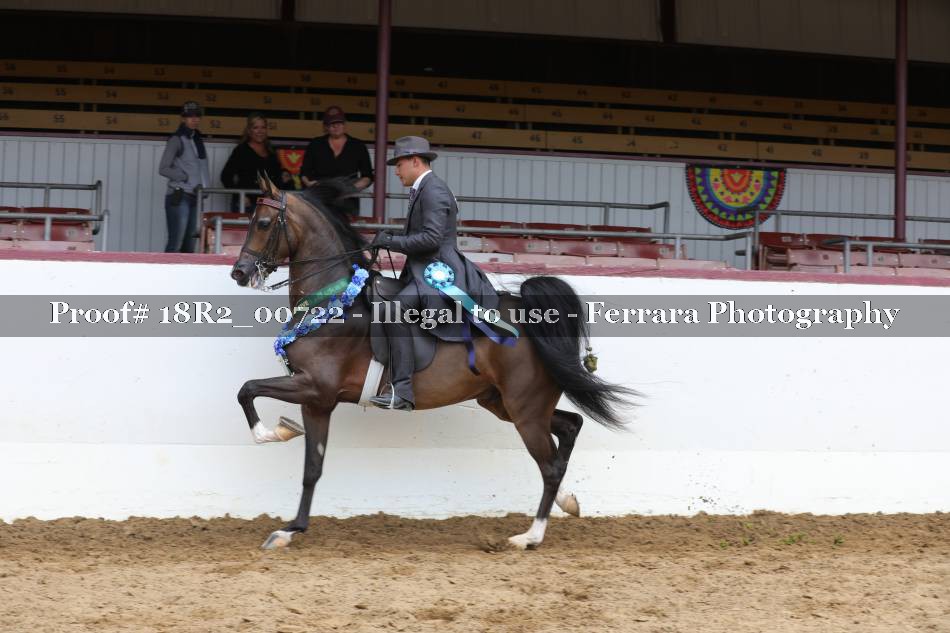 Proof 18R2_00722