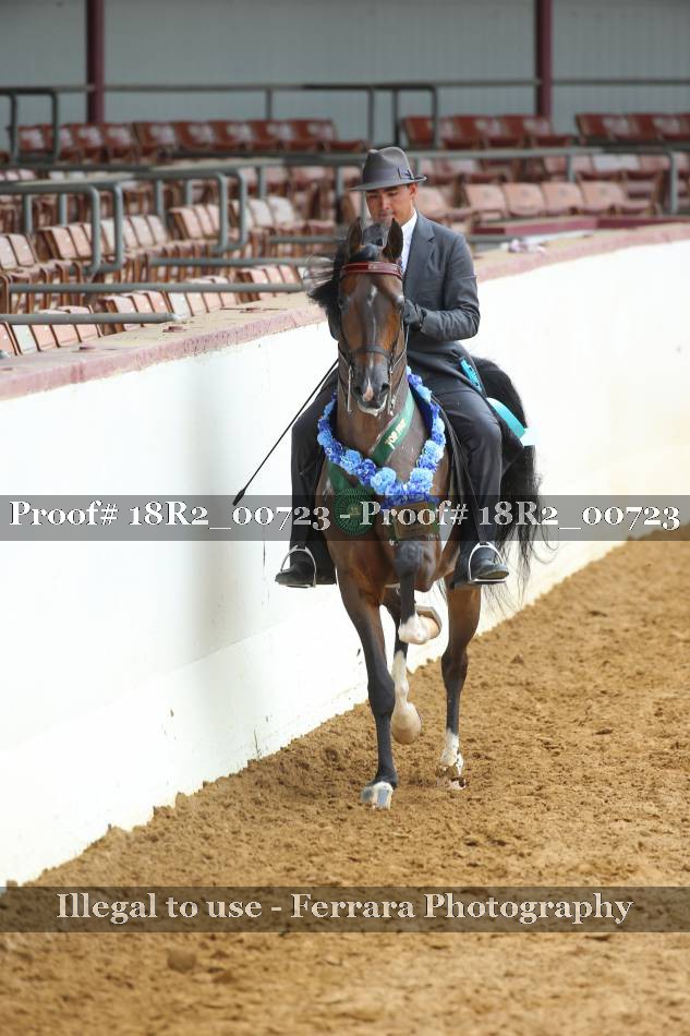 Proof 18R2_00723