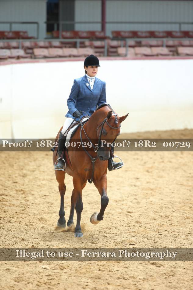 Proof 18R2_00729