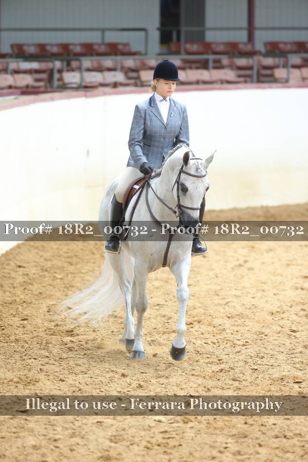 Proof 18R2_00732